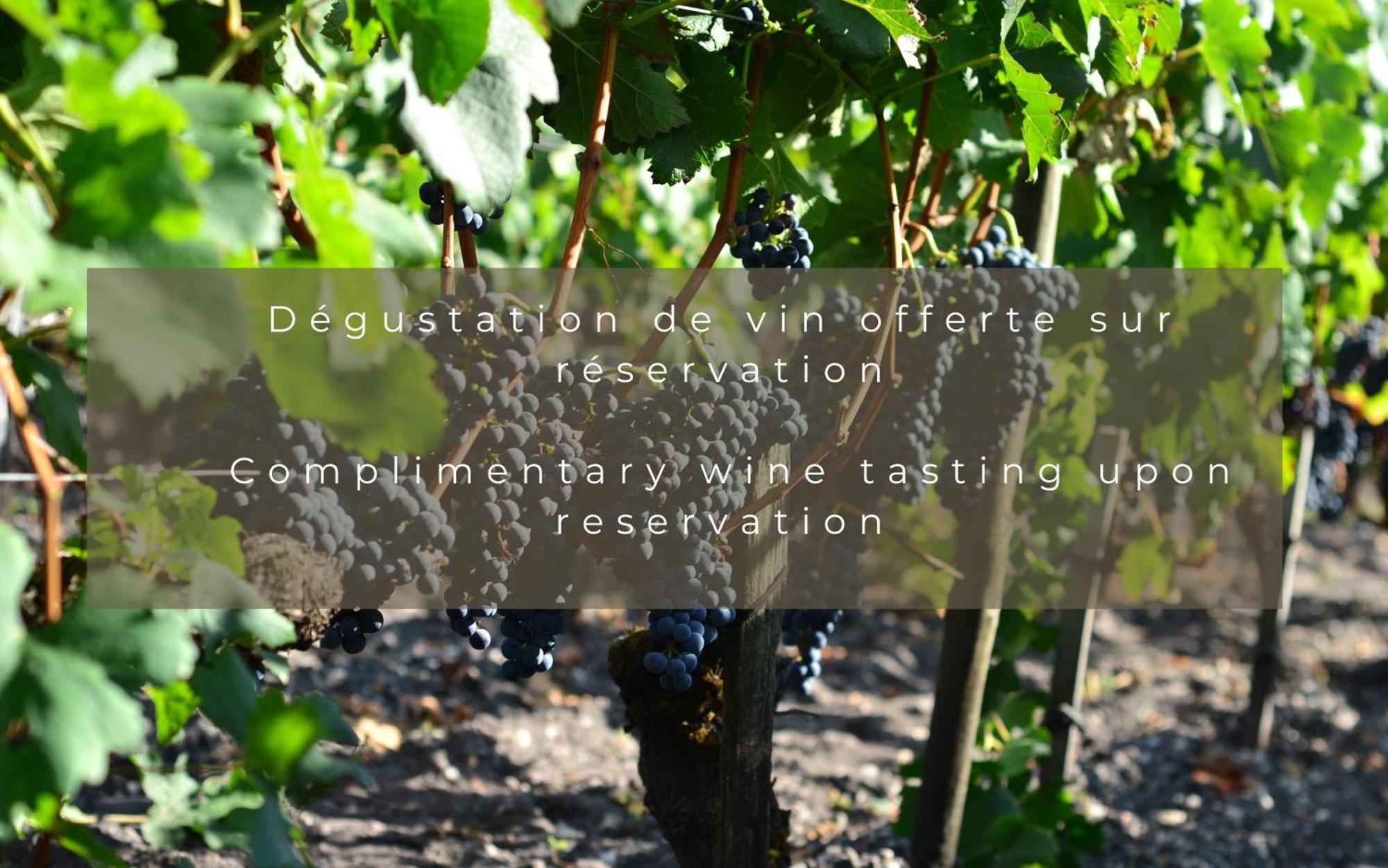 Chateau Leognan, Domaine Viticole - Proche Bordeaux Zewnętrze zdjęcie